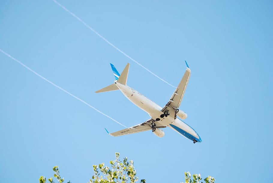 flight, plane, air, fly, air vehicle, airplane, sky, transportation HD wallpaper