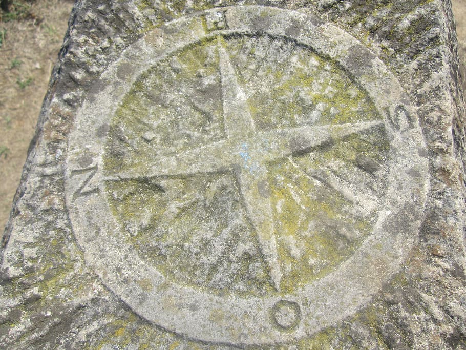 Compass Rose, Ribadesella, Stone, science, no people, biology HD wallpaper