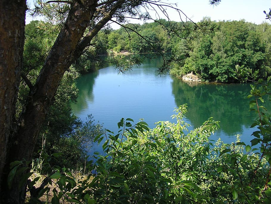Lake, Landscape, Pond, nature, tree, water, river, green Color HD wallpaper