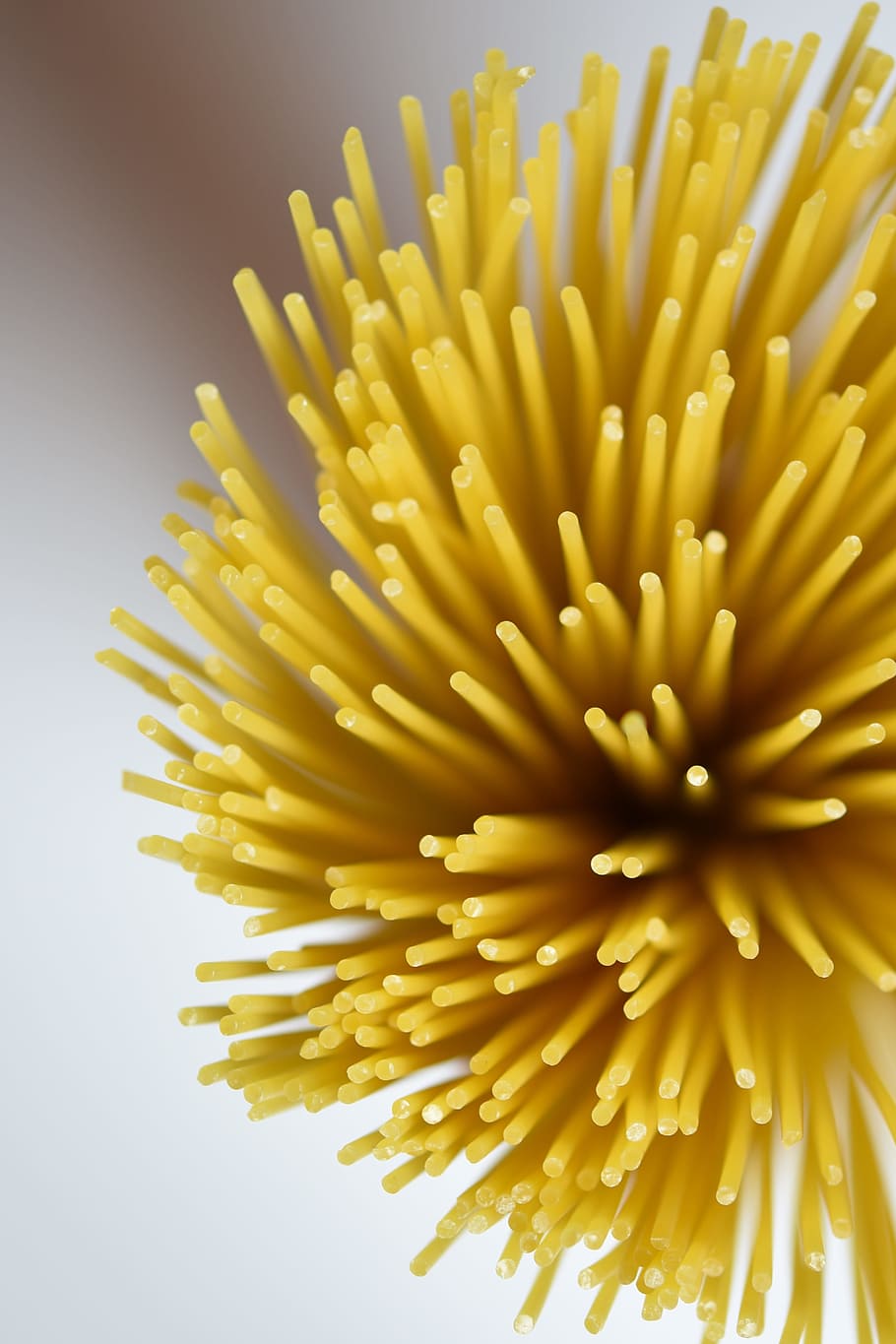 Blur, Macro, Sharpness, Close, spagetti, noodles, flower, yellow HD wallpaper