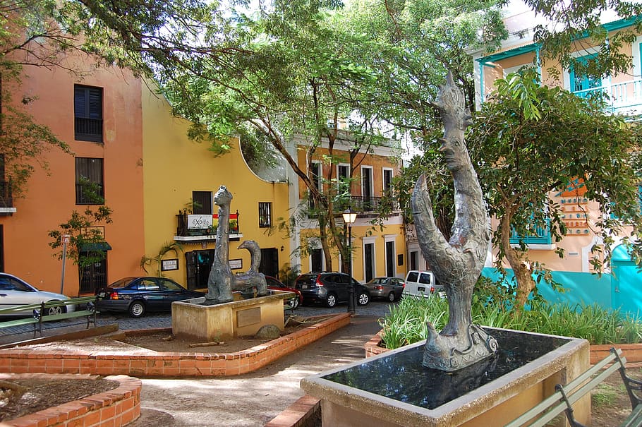 green bonsai tree, san juan, puerto rico, old town, colorful, HD wallpaper