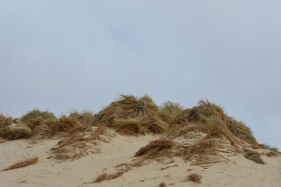 Dune, Sand, Blue Sky, beach, sand dune, desert, nature, land HD wallpaper