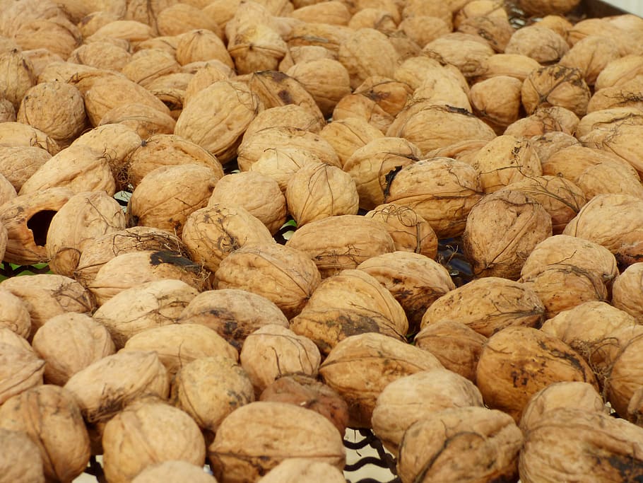 fruit, nuts, walnut, power, dried fruit, eat, food and drink HD wallpaper