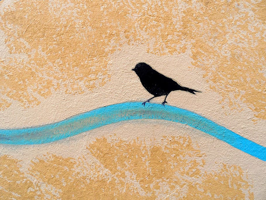 Wall, Bird, Padova, Graffiti, Artist, one animal, animals in the wild, HD wallpaper