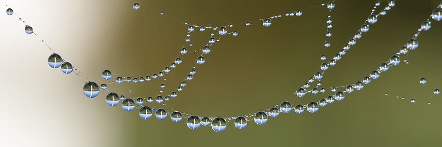 water, lens, blur, dew, beaded, beads, bubble, clean, clear, close, HD wallpaper