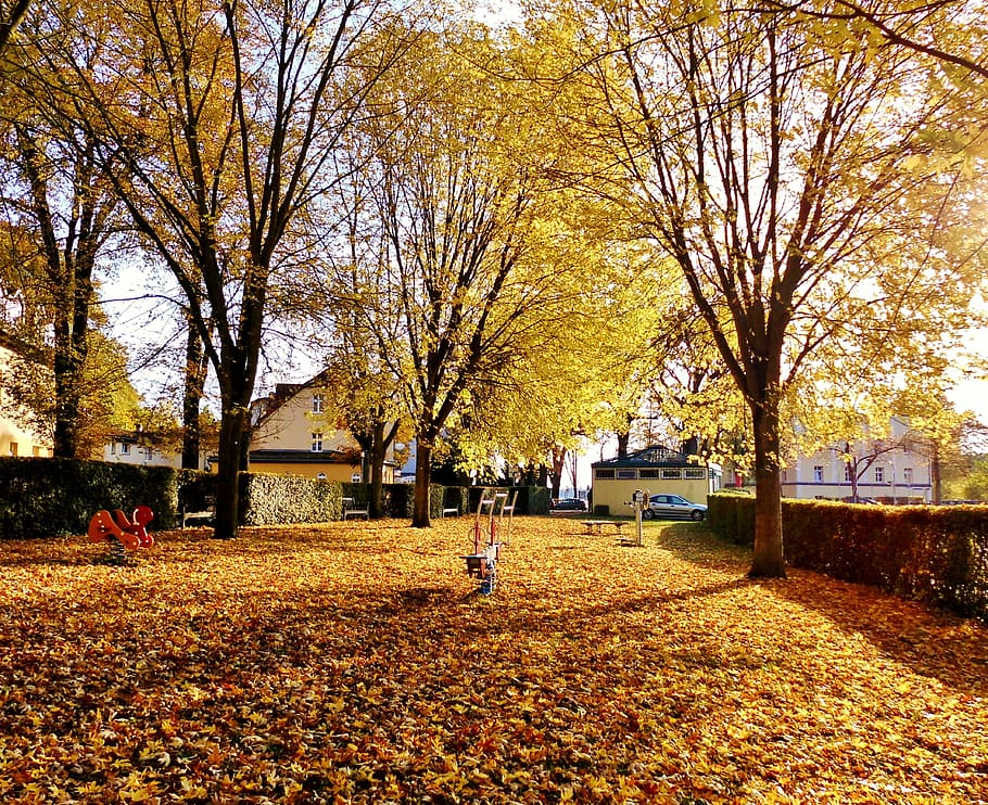 playground, residential development, settlement, golden, autumn HD wallpaper