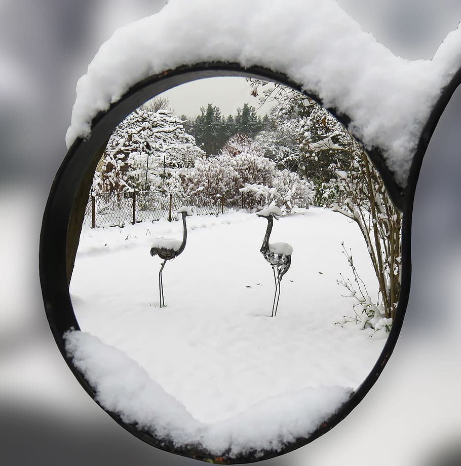 Winter, Winter, Winter Magic, Snow, Garden, heron, by looking HD wallpaper