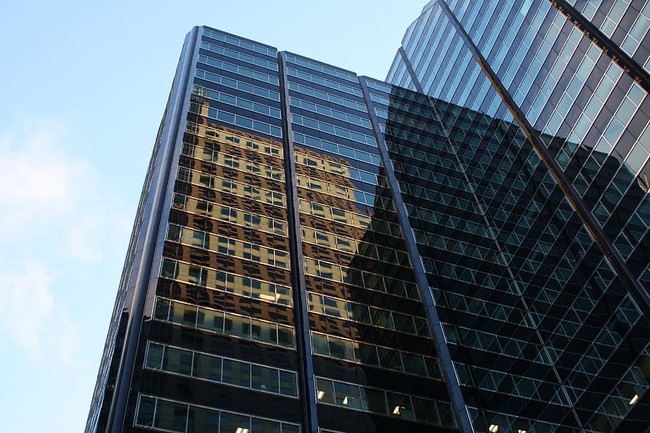 Chicago, Downtown, Skyscraper, Building, rick lobes, reflection HD wallpaper
