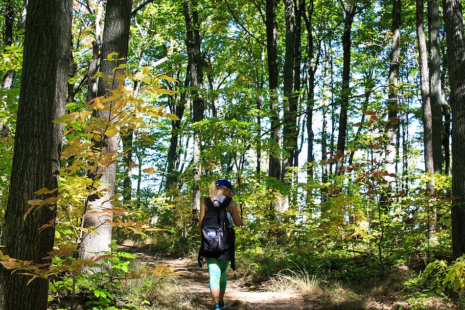 hiking, trail, path, nature, girl, trekking, walk, outdoor, HD wallpaper