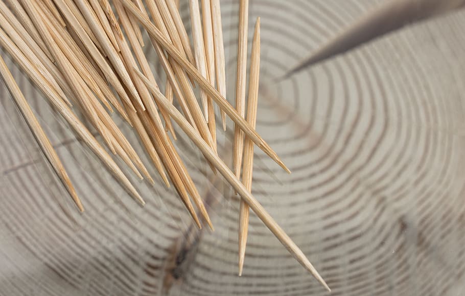 toothpick, wood, close, annual rings, close-up, no people, plant