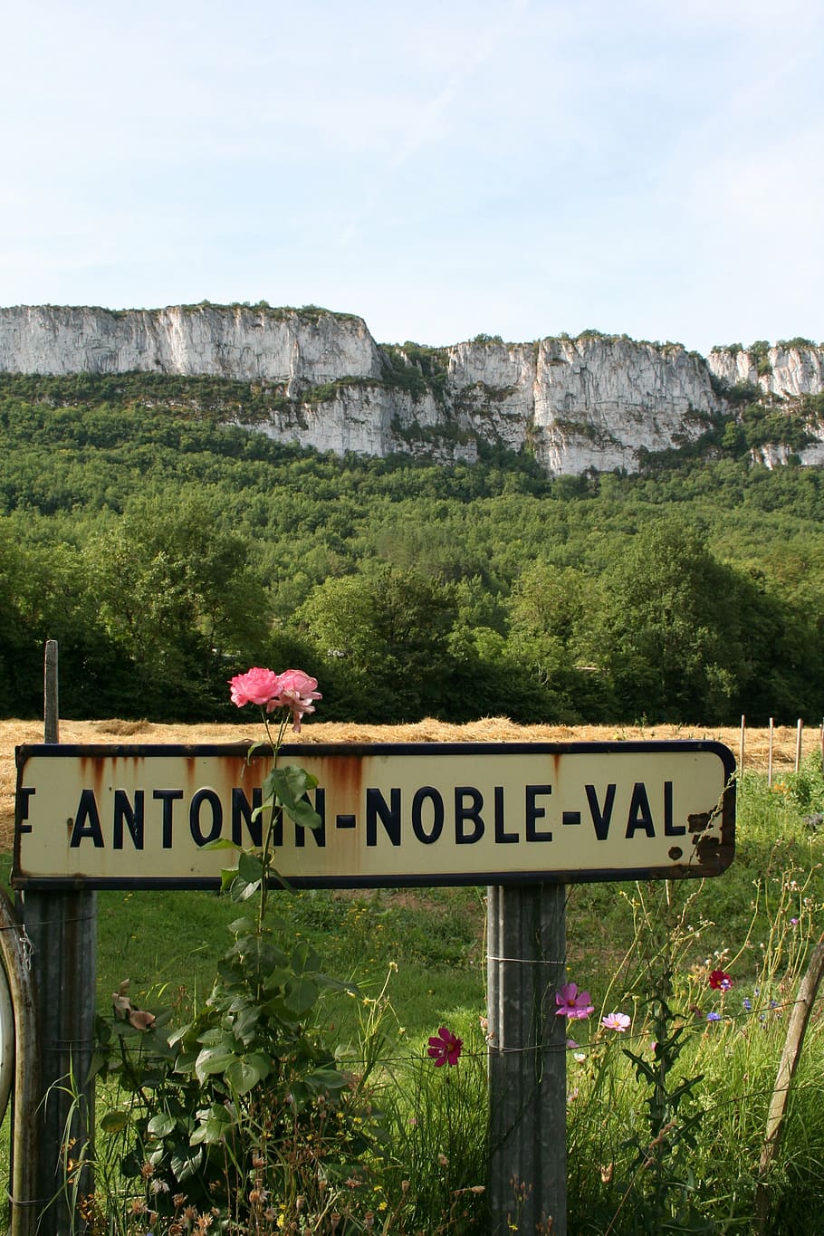 midi-pyrenees, antonin noble val, france, flower, nature, mountain, HD wallpaper