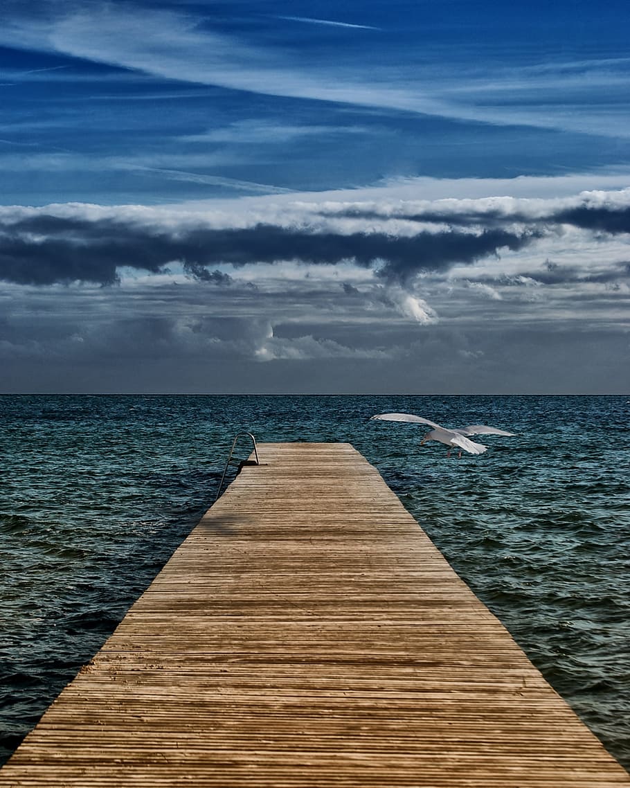 jetty, sea, dawn, nature, bird, blue sky, boardwalk, clouds, color HD wallpaper