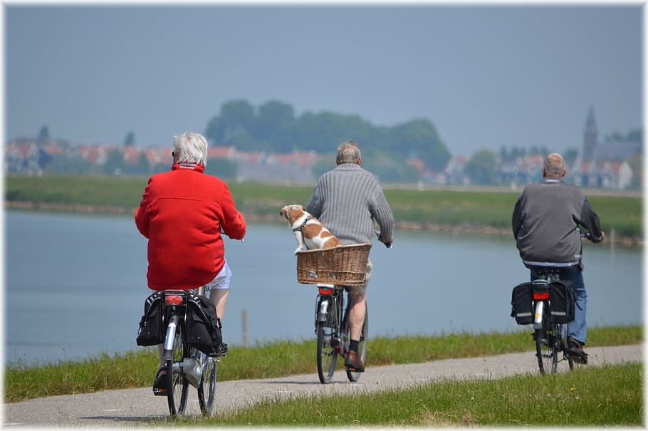 people, men, path, grass, active, bikes, cyclist, elderly, exercise HD wallpaper