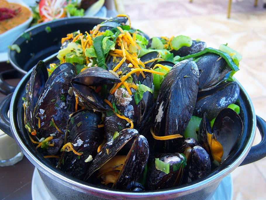 mussels, flat, kitchen, netherlands, food, eat, meals, recipe HD wallpaper