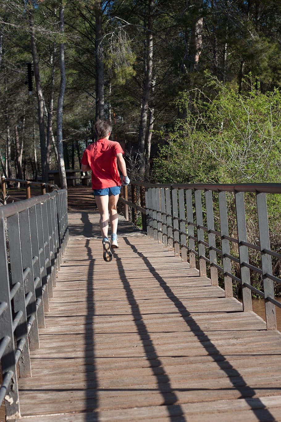 jog, jogger, training, run, sport, sporty, fit, running, fitness HD wallpaper