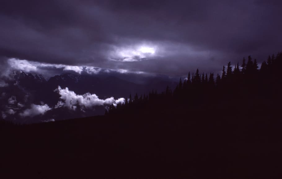 dark, night, clouds, sky, trees, nature, cloud - sky, storm HD wallpaper