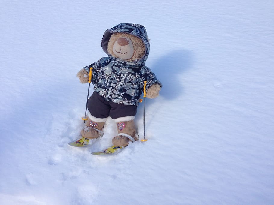 Ski, Snow, Toy, Winter, teddy, childhood, cold temperature HD wallpaper