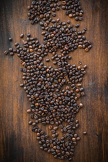 Coffee Beans, Coffee, Beans, Cafe, caffeine, dry, green coffee HD wallpaper
