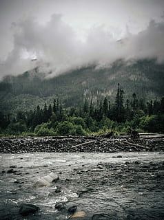 river near forest during daytime, green leafed trees under cloudy sky HD wallpaper