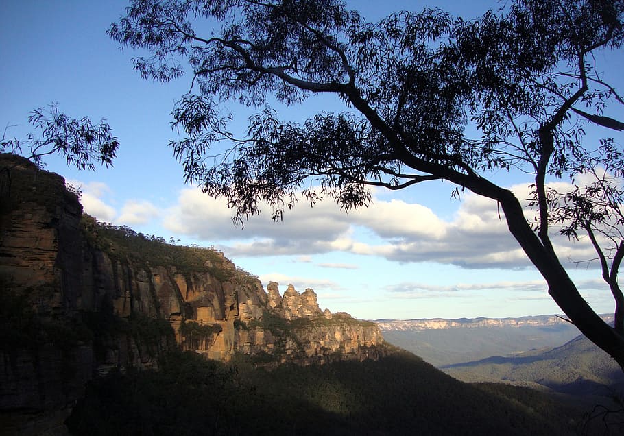 blue mountains, three sisters, scenic, tourism, australia, tree, HD wallpaper