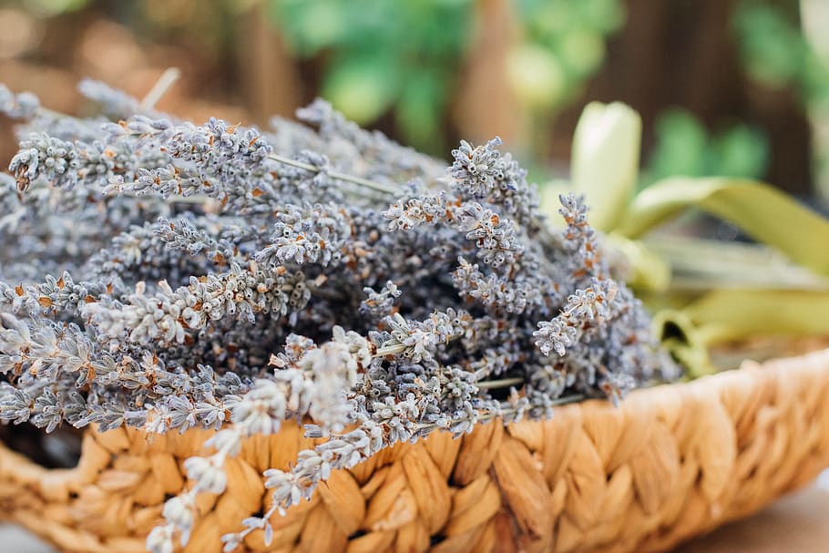 blur, macro, pattern, plant, texture, woven basket, close-up HD wallpaper