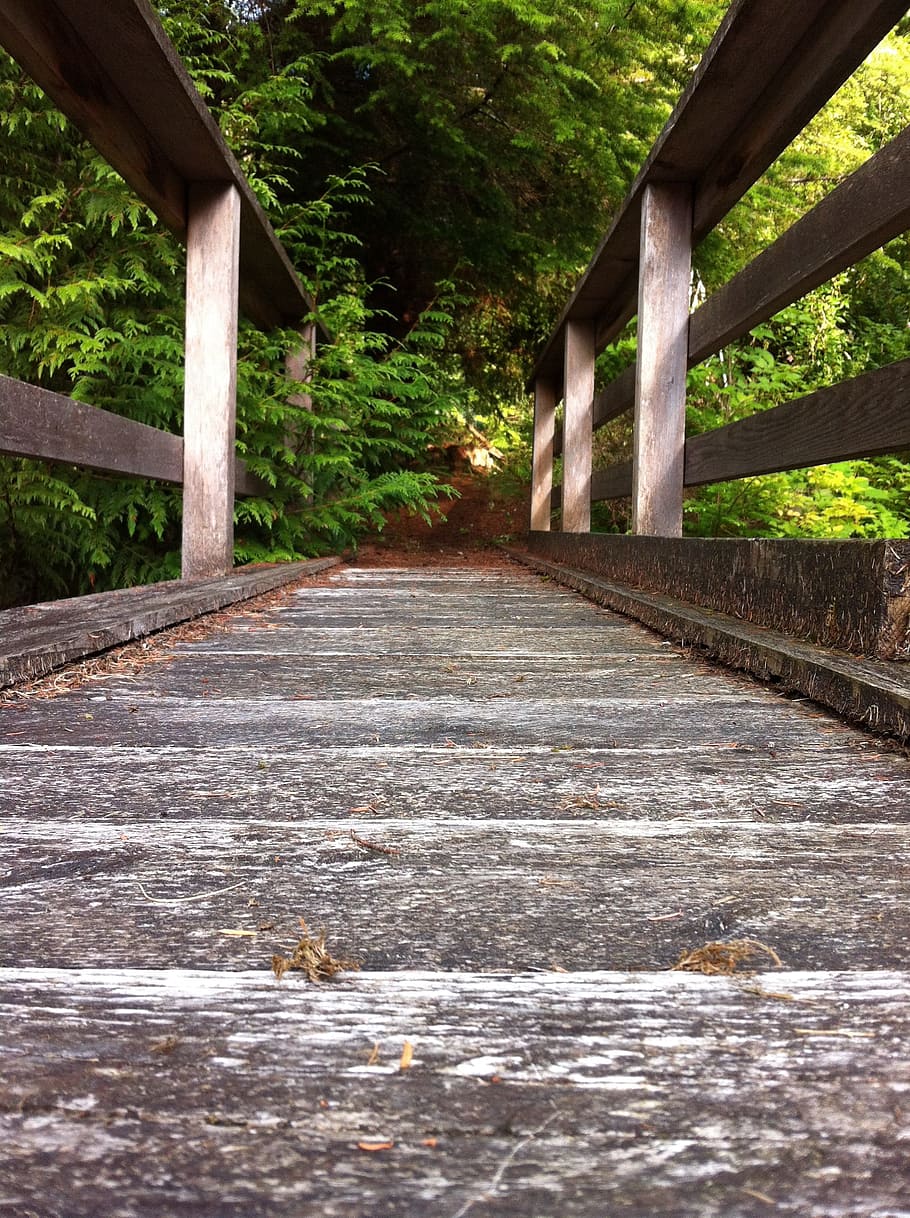 bridge, path, green, wood, nature, trees, woods, outside, creek, HD wallpaper