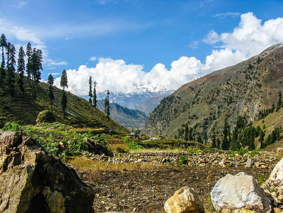 Scenery, Mountain, Trees, Nature, landscape, view, travel, outdoor HD wallpaper