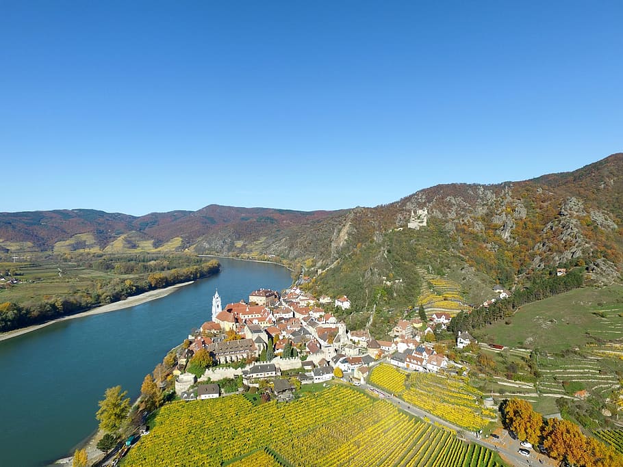 houses and building surrounded by trees near body of water, upper rhine valley