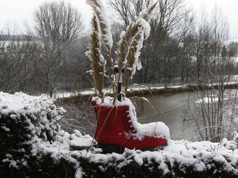 snow, red, shoe, winter, cold temperature, tree, nature, frozen HD wallpaper