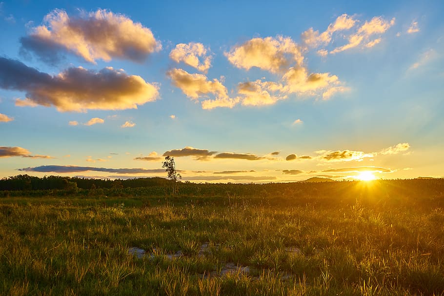 Landscape, Sunset, Australia, sky, nature, meadow, outdoors HD wallpaper