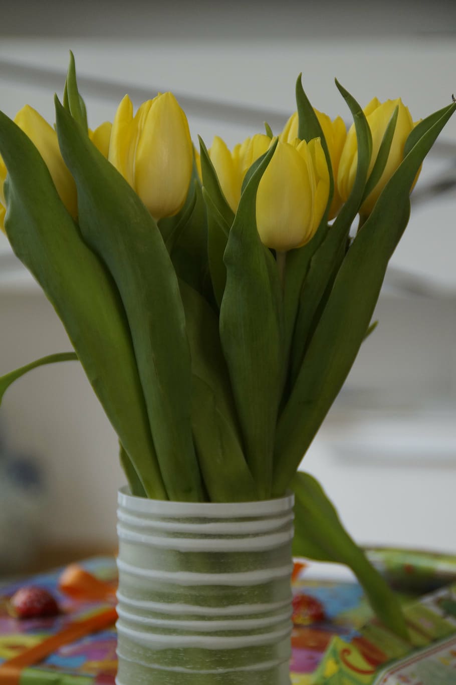 tulips, tulip bouquet, spring, spring flower, strauss, plant, HD wallpaper