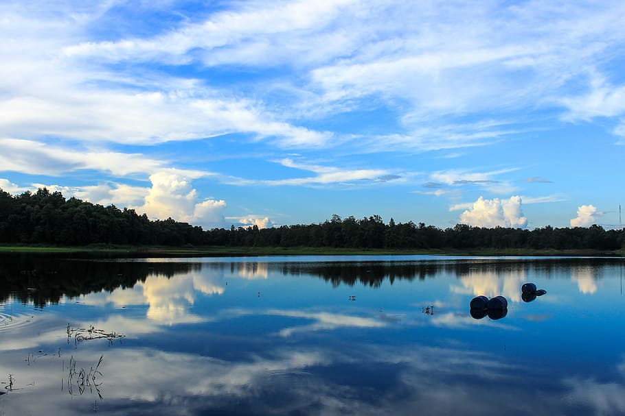 marsh, water, reflection, basin, sky, lake, cloud - sky, tree HD wallpaper