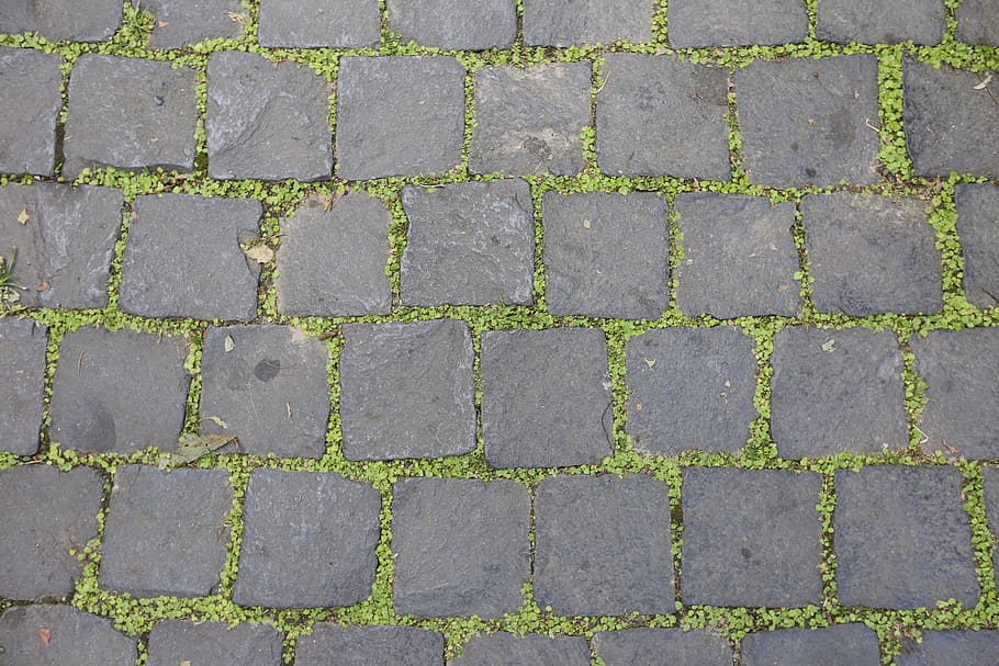 floor, blocks, moss, pattern, footpath, full frame, paving stone HD wallpaper
