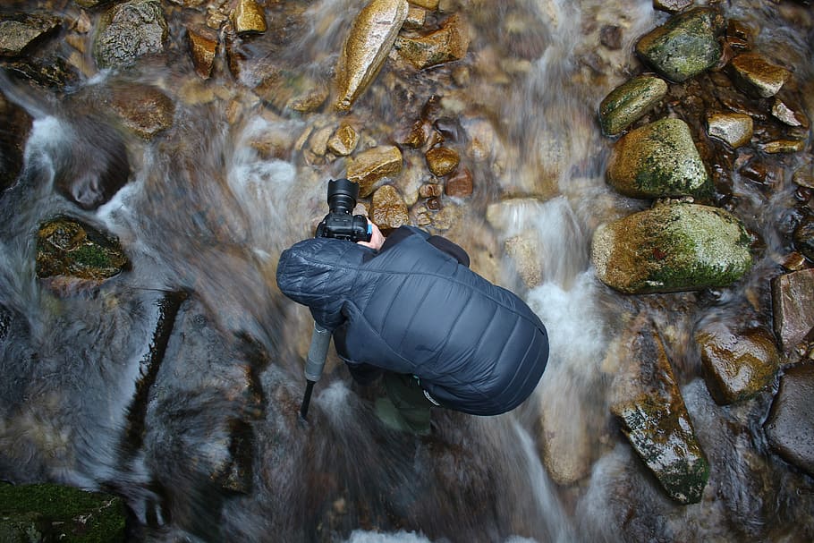 Camera man on water stream, nature, rock - Object, outdoors, animal wildlife HD wallpaper