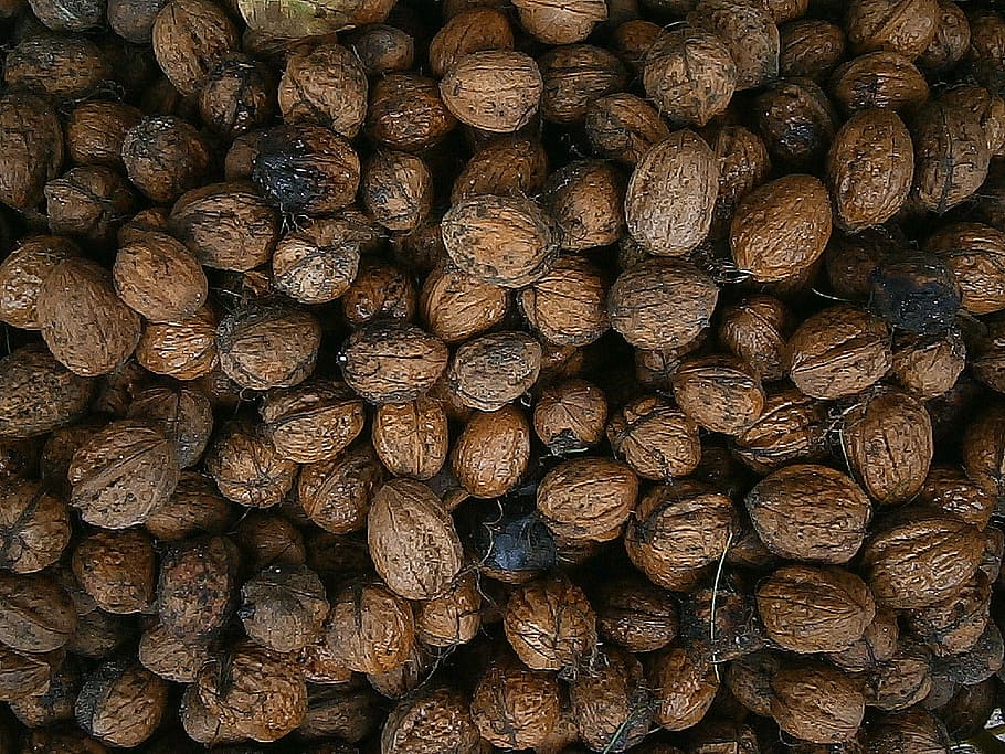 walnut, nuts, food, fruits, healthy, walnuts, tasty, shell HD wallpaper