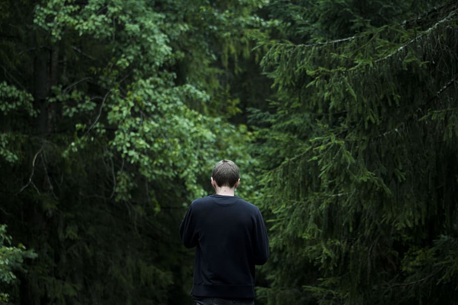 man facing forest, Mystique, Boy, guy, young, attractive, men HD wallpaper