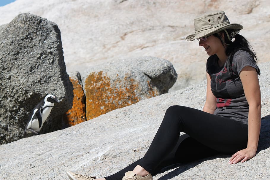 penguin, beach, stones, rock - object, one person, solid, sitting HD wallpaper