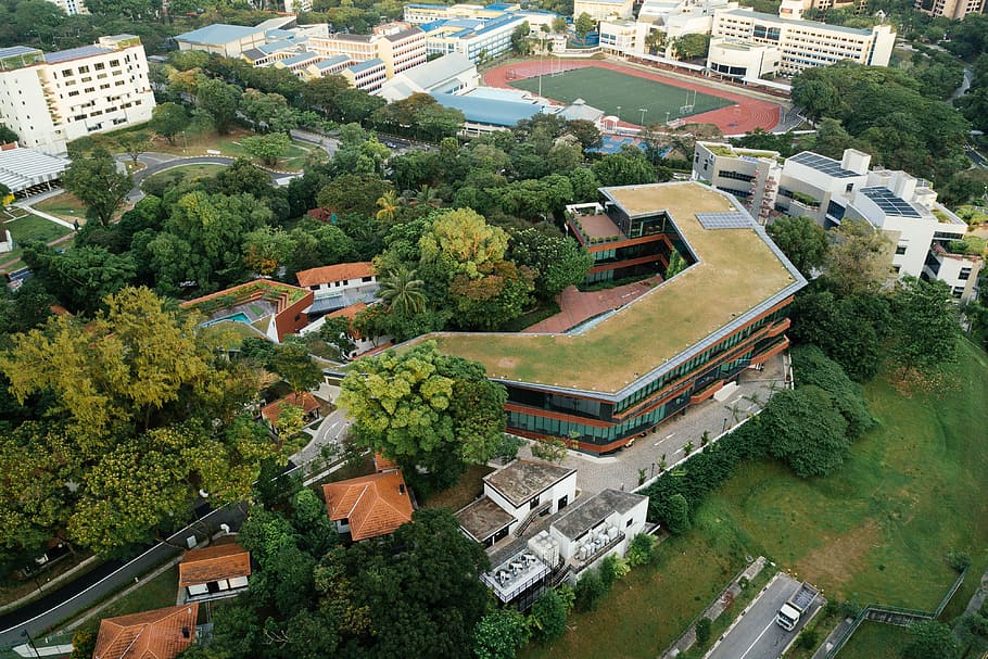 white and brown concrete buildings surrounded by green leafed trees, bird's eye photography of orange concrete building HD wallpaper