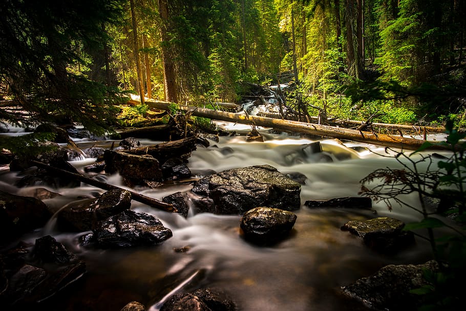 river between green leafed trees during daytikme, time, lapse HD wallpaper