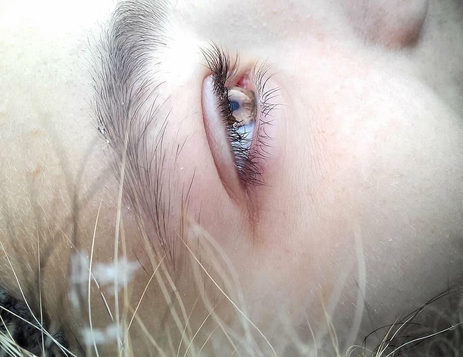 close up photography of eye, brow, cheek, brown, day dream HD wallpaper