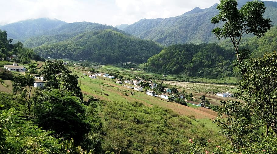 uttarakhand india, village, hills, jungle, green, agricultural land