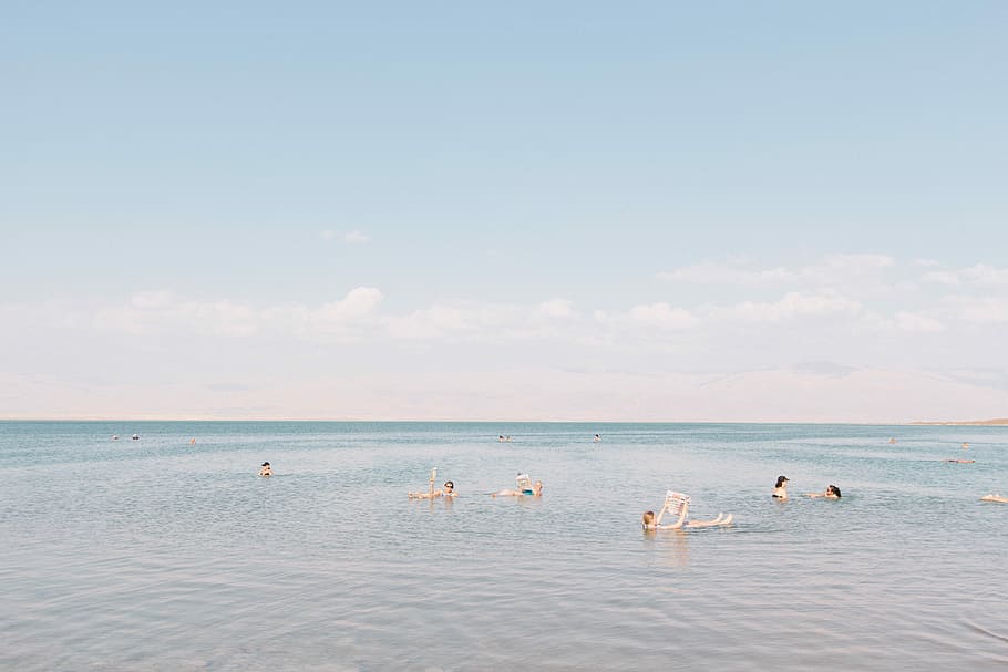 group of people swimming on dead sea during daytime, blue, gray HD wallpaper