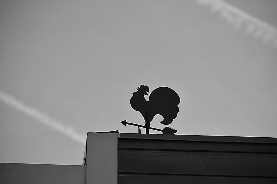 wind, weather vane, wind indicator, sky, north, is, black and white HD wallpaper