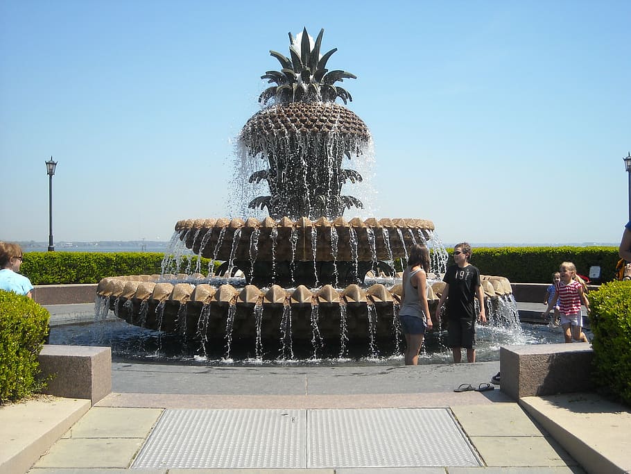 people standing near pineapple fountain, charleston, south, carolina