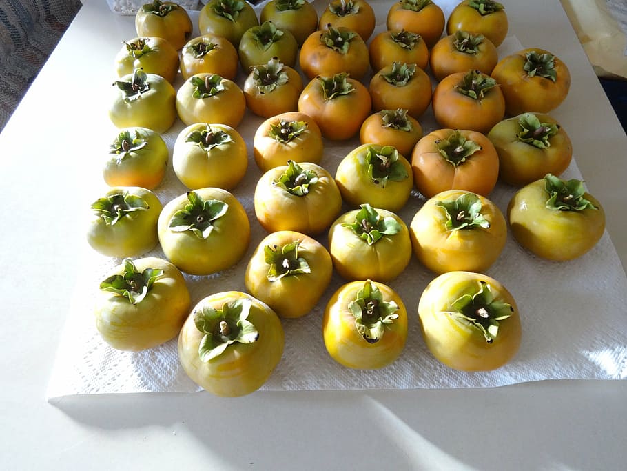 persimmons, fruit, tropical, fresh, healthy, juicy, tasty, asian HD wallpaper