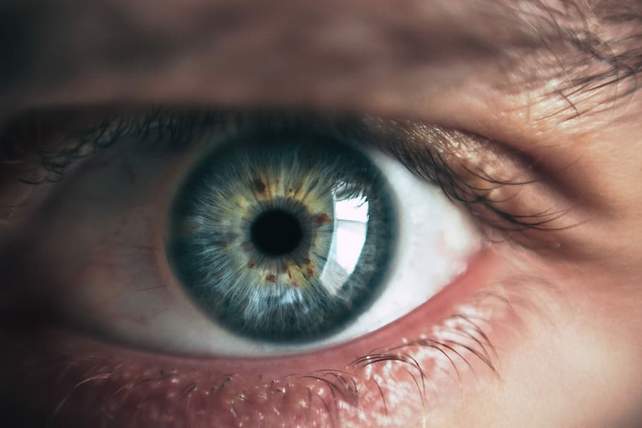 close-up photography of human eye, person's green eye, macro HD wallpaper