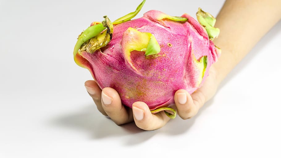 Fruit, Dragon, White, Isolated, background, pink, nature, food HD wallpaper