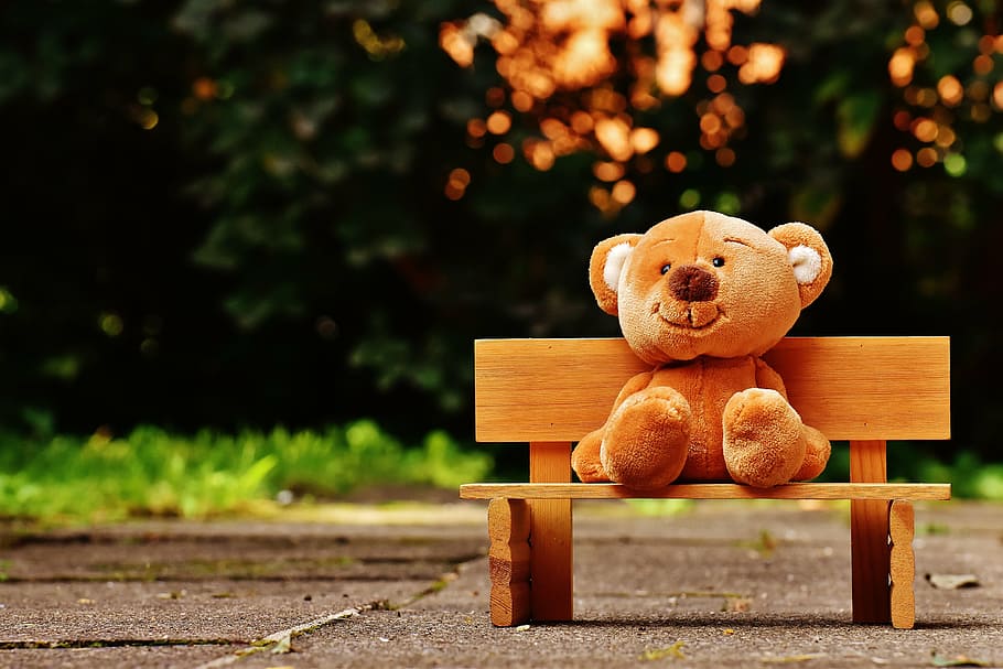brown bear plush on the bench, teddy, bank, sit, fun, funny, cute