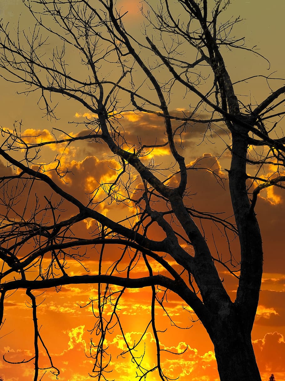 silhouette of three during golden hour, sunset, clouds, sky HD wallpaper