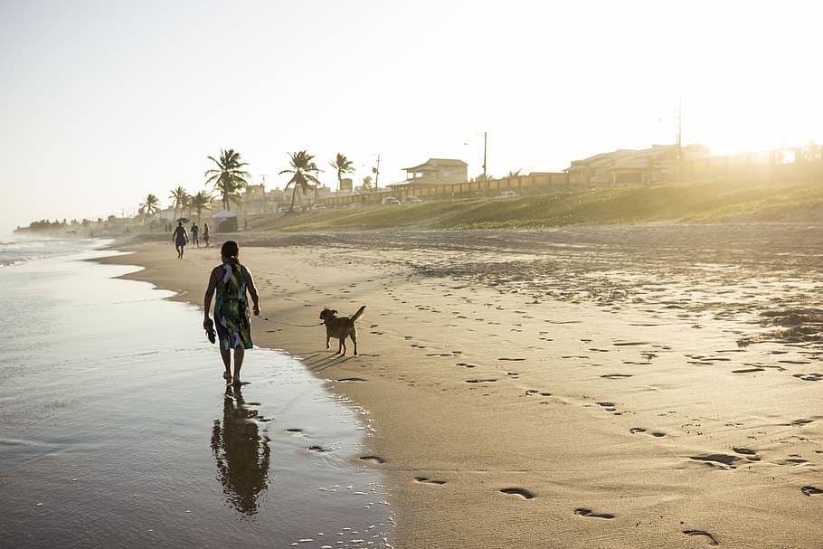 person walking near river, sea, ocean, water, sand, footprints HD wallpaper